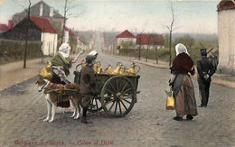 Laitière Flamande - Colère Et Dépit Douane Animée Colorisée Attelage Chien (prix Fixe) - Venters