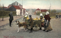 Laitière Flamande - Halte Agent Douane ? Animée Colorisée Attelage Chien (prix Fixe) - Marchands Ambulants