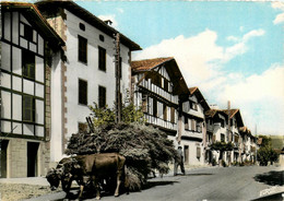 Ainhoa * Rue De La Commune * Attelage Boeufs - Ainhoa