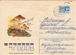 Urss Entier Postal 1966 Illustré Champignons - Other & Unclassified