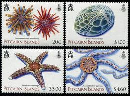 Pitcairn Islands 2019 Marine Fauna Echinoderms 4v MNH - Meereswelt