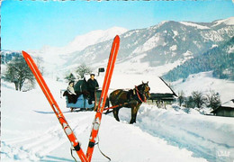 CPSM    Attelage   Cheval  Traineau  1960 - Taxis & Huurvoertuigen