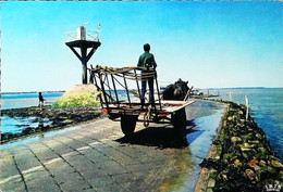 CPSM  Attelage  Noirmoutier Passage Du Gois 1970 - Taxis & Huurvoertuigen