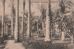 N°6802 R -cpa The Public Gardens -Ismailia- - Ismailia