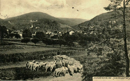 Pays Divers  / Allemagne   Deutschland / Jugenheim (bergstr) - Sonstige & Ohne Zuordnung