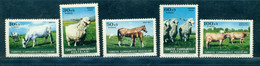 1964 Anatolian Grey Cow, Montafon Cattle, Angora Goat, Arabian Horse, Turkey, Mi. 1919, MNH - Farm