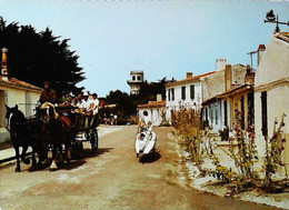 Attelage  Cheval      Ile D'Aix  Planche à Voile - Attelages