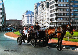 Fiacre     Attelage  Cheval  Ostende - Taxis & Fiacres