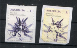 (stamp 17-10-2020) Australia - On Paper - Unusual Flowers Stamps ? Blue Devil - Abarten Und Kuriositäten