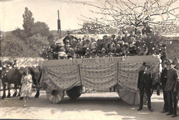 Huy - Photographie Puvrez - Char Animé La Patrie En Fleur (format Carte Postale) - Huy