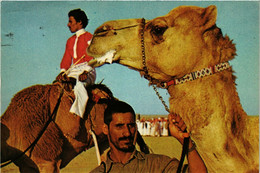 PC CPA SAUDI ARABIA, AFTER THE CAMEL RACE, Modern Postcard (B3794) - Arabie Saoudite