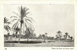 PC CPA IRAQ, WHERE THE SOWN AND DESERT MEET, VINTAGE POSTCARD (b16237) - Iraq