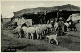 PC CPA IRAQ, ARAB TENT, VINTAGE REAL PHOTO POSTCARD (b16230) - Iraq