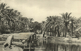 PC CPA IRAQ, BASRA, ACROSS THE KORA, VINTAGE POSTCARD (b16261) - Iraq