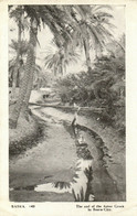 PC CPA IRAQ, BASRA, THE END OF THE ASHAR CREEK, VINTAGE POSTCARD (b16170) - Iraq