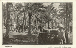 PC CPA IRAQ, MESOPOTAMIA, ARTILLERY ENCAMPED IN DATE PALMS, (b16200) - Iraq