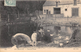 EN BEAUCE- COIN DE FERME - Farms