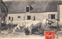 EN BEAUCE- RENTREE A LA FERME - Boerderijen