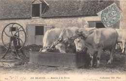 EN BEAUCE- RENTREE A LA FERME - Bauernhöfe