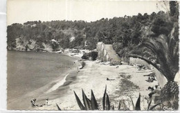 D 83. LE RAYOL CANADEL.  LA PLAGE - Rayol-Canadel-sur-Mer