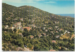 D 83. LE RAYOL CANADEL.  VUE GENERALE - Rayol-Canadel-sur-Mer