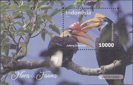 Indonesia - Indonesie Rhyticeros Cassidix Fauna. Bird- 05-11-2018(SS) MNH - Indonesia