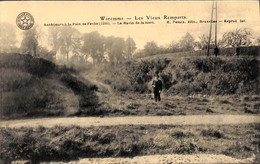 Waremme - Les Vieux Remparts (Belgique Historique, Animée Desaix) - Borgworm