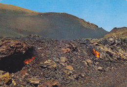 ESPAGNE,SPAIN,ESPANA,ISLAS CANARIAS,LANZAROTE,LANCEROTTE,ILES DES CANARIES,FEU - Lanzarote