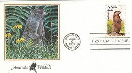 Woodchuck - Moose - Alaskan Brown Bear - Black-footed Ferret - Bobcat - Red Fox - Fuchs Luchs Elch Bär - Andere & Zonder Classificatie