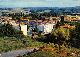 CPSM 38 ST JEAN DE BOURNAY VUE GENERALE     Grand Format  15 X 10,5 Cm - Saint-Jean-de-Bournay