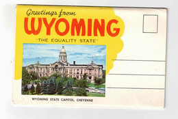 WYOMING, USA, Old Souvenir  Fold-Out Postcard - Autres & Non Classés