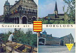 Groeten Uit Borgloon Veelzicht - Borgloon