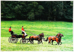 HARAS -  FIACRE-  CHEVAL - Taxis & Fiacres