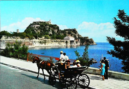 Corfu  Attelage Fiacre   Cheval Horse - Taxis & Huurvoertuigen