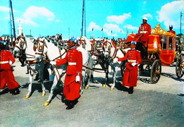 Maroc   Carosse Royale De Parade   Cheval Horse - Taxis & Fiacres
