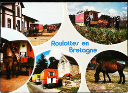 Roulottes En Bretagne  Attelages Cheval Horse - Taxis & Fiacres