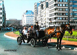 Fiacre     Attelage  Cheval   Ostende - Taxis & Fiacres