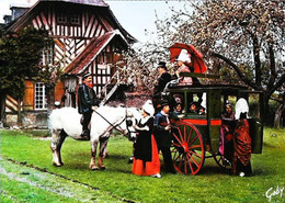 Fiacre     Attelage  Cheval Normandie - Taxis & Huurvoertuigen