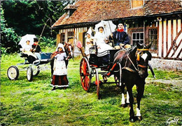 Normandie    -fiacre Attelage  Cheval - Taxis & Fiacres