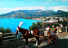 Italie   Sorrente    -fiacre Attelage  Cheval - Taxis & Fiacres