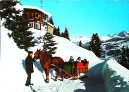 Megeve  Traineau    -fiacre Attelage  Cheval - Taxis & Fiacres