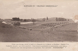 VELLEMINFROY 70 HAUTE SAONE  CPA   CHATEAU GRENOUILLE  CPA  ELEVAGE DE VISON . - Sonstige & Ohne Zuordnung