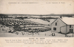 VELLEMINFROY 70 HAUTE SAONE  CPA   CHATEAU GRENOUILLE  CPA  ELEVAGE DE VISON . - Autres & Non Classés