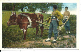 CHINA - Very Old Postcard (before 1904) CHINESE PLOWING WITH OXEN, NEAR PEKING - CHARRUE A BOEUF - Beijing - Buy It Now - Chine