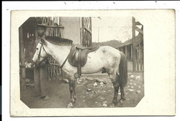 CHINA - Very Old Photo Card >  HORSE - Chine