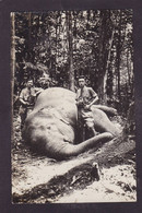 CPA éléphant Singapour Singapor Chasse Carte Photo Circulé - Elephants