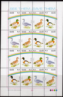 Pakistan 1992 Water Birds Sheetlet Of 16, MNH, SG 880/95 (E) - Pakistan