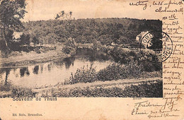 Souvenir De Thuin - Aulne (Nels 1900) - Thuin