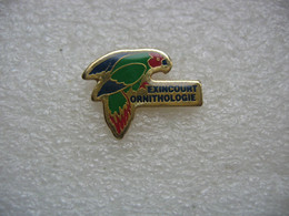 Pin's De L'Association "Exincourt Ornithologie". Perroquet, Perruche - Animali