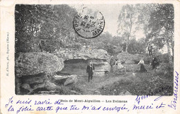 Thème: Dolmen Et Menhir:     Bois De Mont-Aiguillon     77         Les Dolmens    (voir Scan) - Dolmen & Menhire